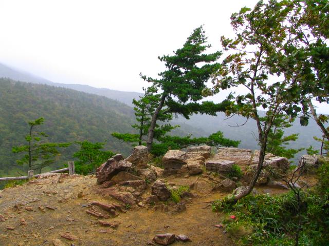 Vegetation auf Mt.Apoi